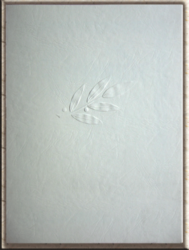 Urkundenmappe Chamois in ledergenarbtem Karton für A3 Urkunden.