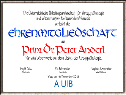 Ehrenurkunde mit Logo oder Wappen.