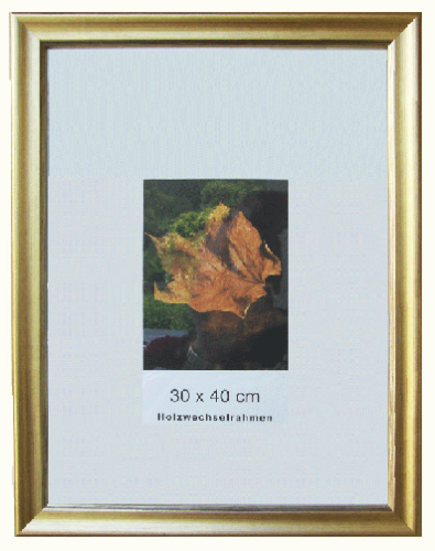 Urkundenrahmen in Gold