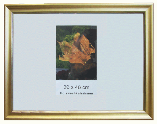 Urkundenrahmen in Gold