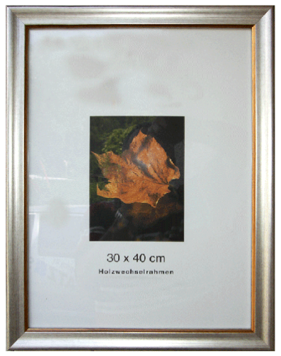 Urkundenrahmen in Silber mit Goldkante