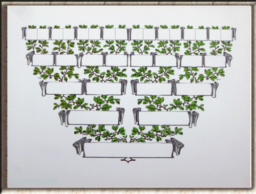 Schmuck - Ahnentafel S 16 weiss